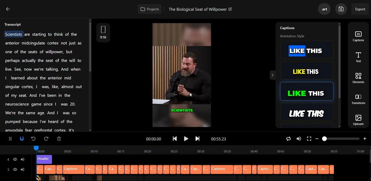 Auto-captions vs Post Descriptions